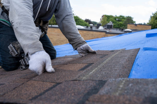 Best Emergency Roof Repair  in Paulding, OH