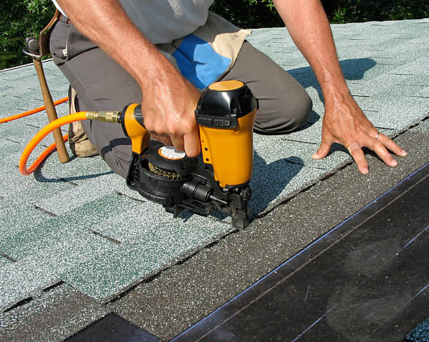 Best Storm Damage Roof Repair  in Paulding, OH